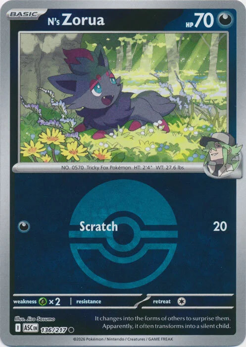 N's Zorua — Ascended Heroes - Ball & Rocket Reverse Holo