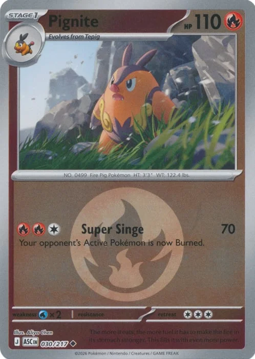 Pignite — Ascended Heroes - Energy Reverse Holo