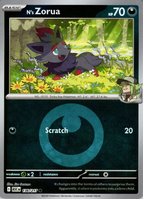 N's Zorua — Ascended Heroes - Energy Reverse Holo