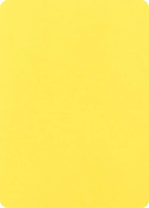 Blank Filler Card — Pokémon Misprints