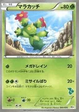 Maractus — Beginning Set Plus