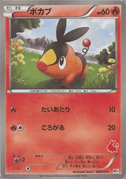 Tepig — Beginning Set Plus