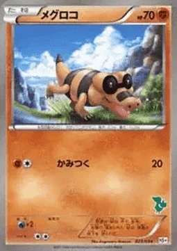 Sandile — Beginning Set Plus