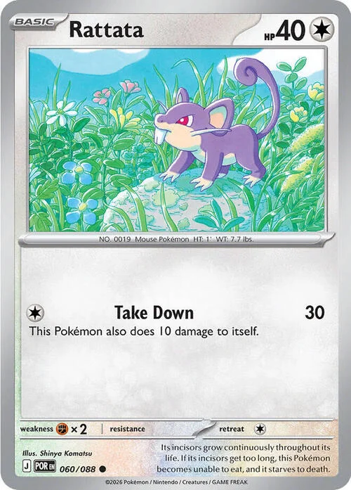 Rattata — Perfect Order