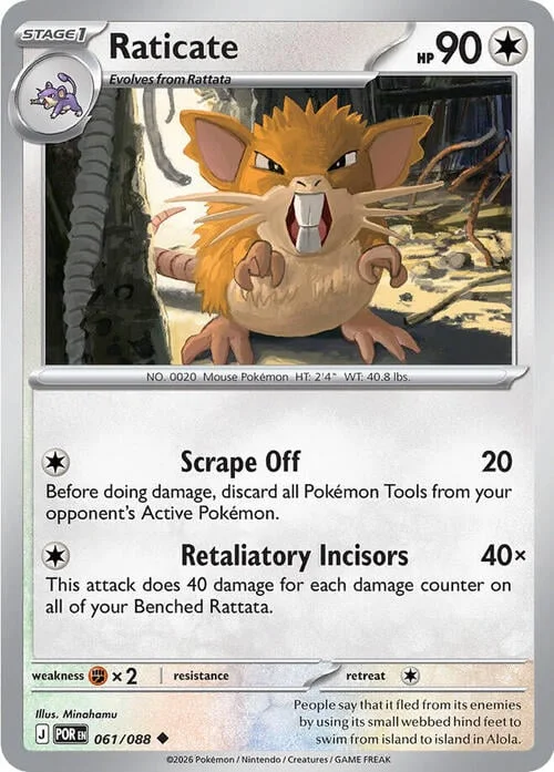 Raticate — Perfect Order