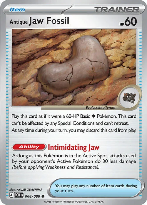 Antique Jaw Fossil — Perfect Order