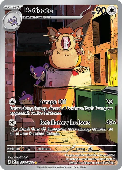 Raticate — Perfect Order