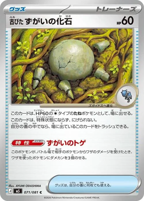 Antique Skull Fossil — Abyss Eye