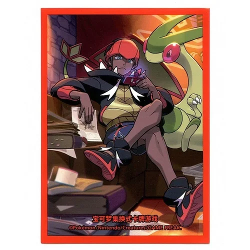Trainer Collection Gift Box | Raihan Sleeves — CSI: Sword & Shield Trainer Collection Gift Box