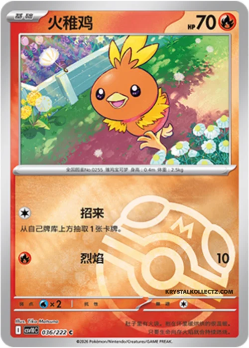 Torchic — CSV10C: Chasing Glory
