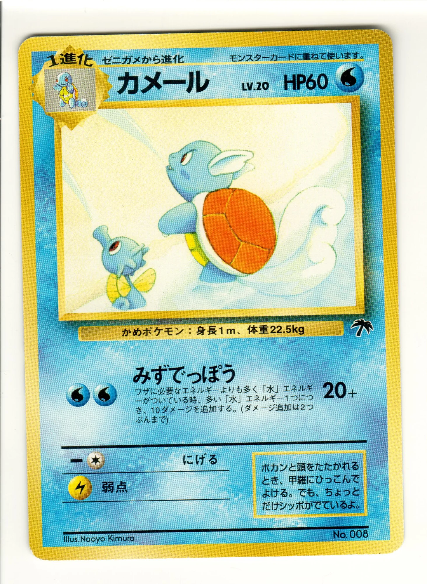Wartortle — Southern Islands JP