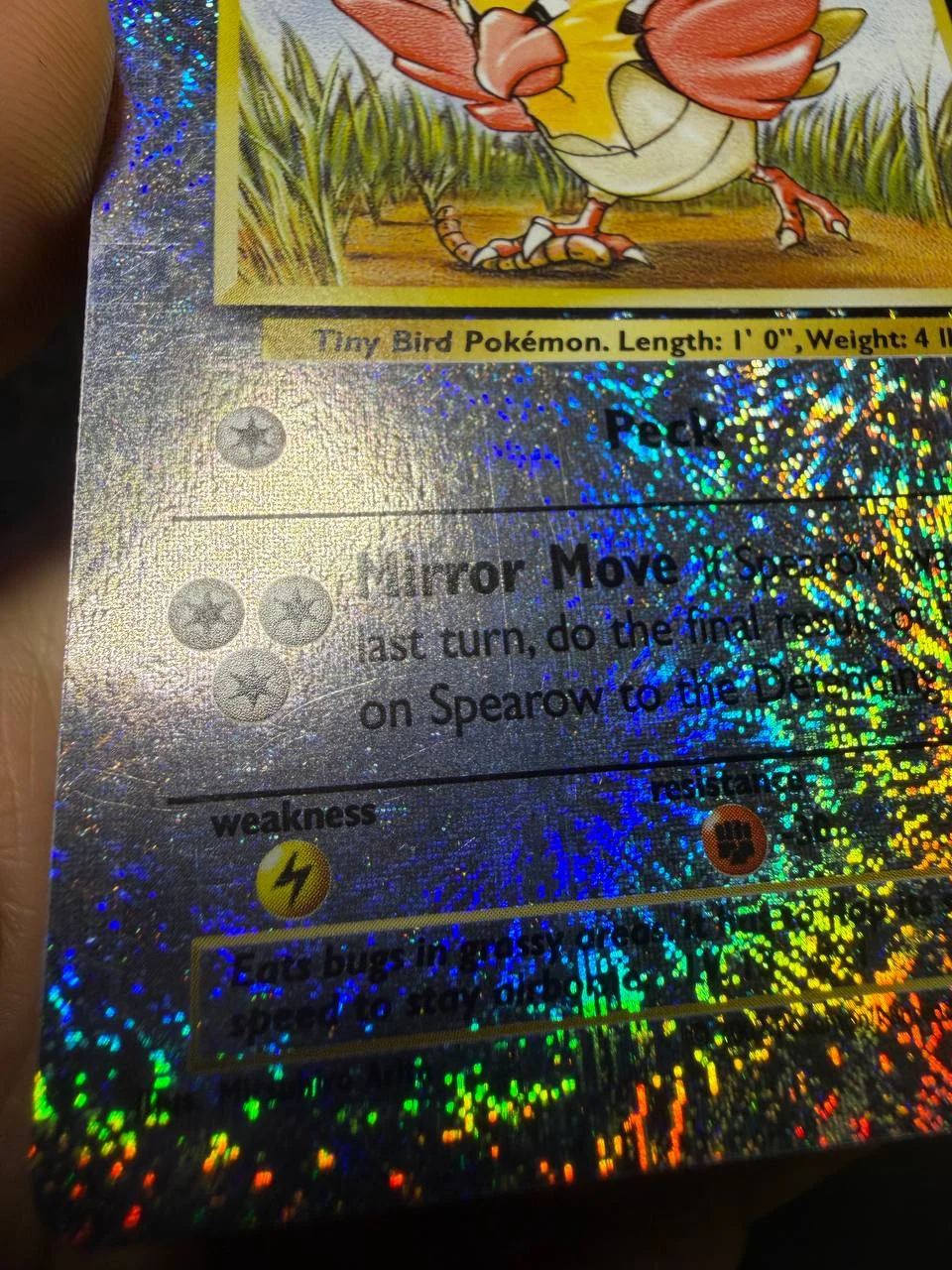 Spearow — Legendary Collection — фото 5