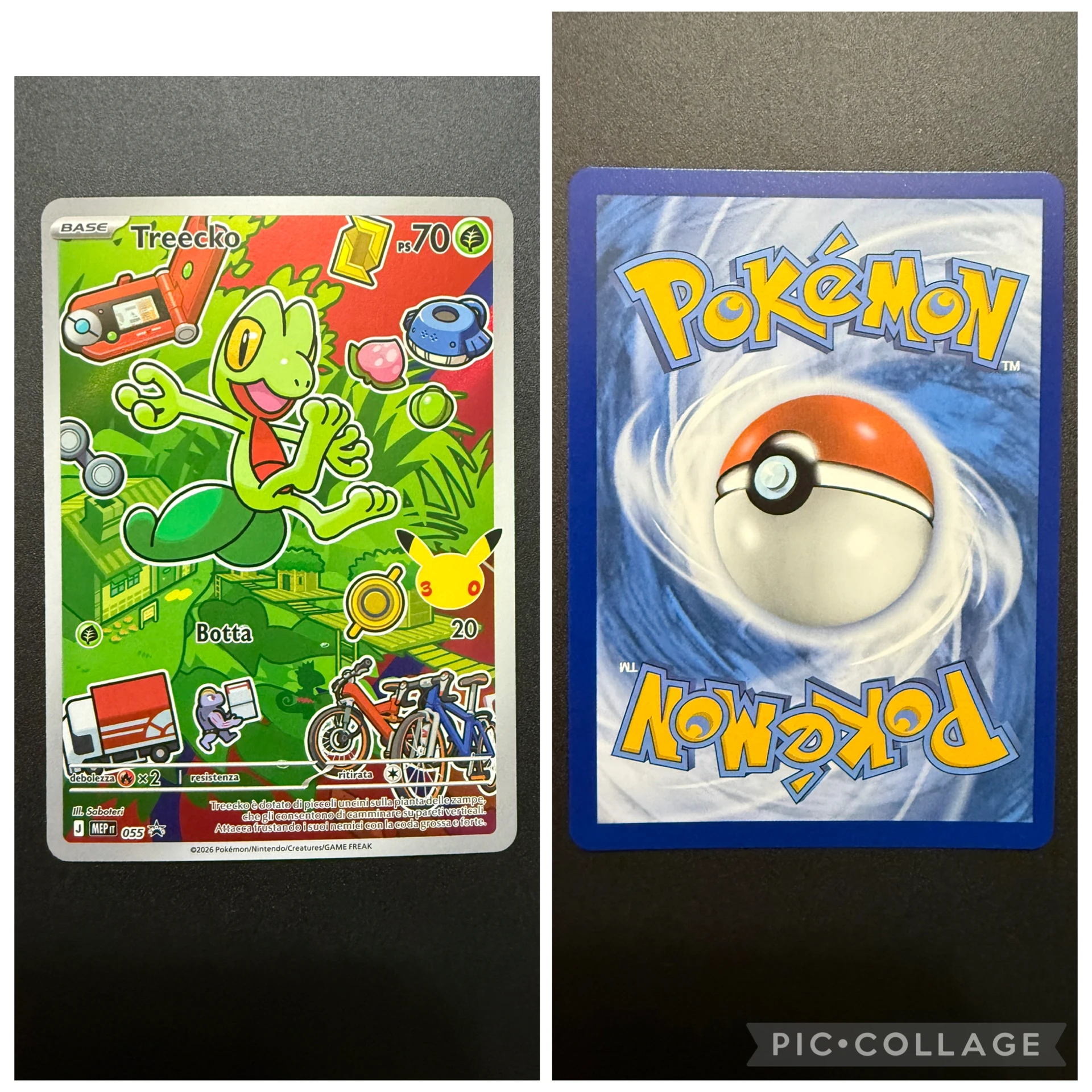 Treecko — MEP Black Star Promos